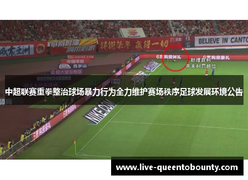 中超联赛重拳整治球场暴力行为全力维护赛场秩序足球发展环境公告