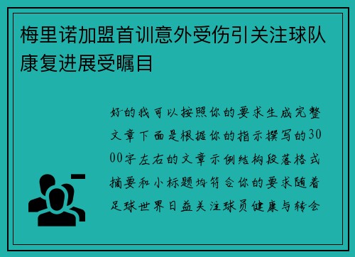 梅里诺加盟首训意外受伤引关注球队康复进展受瞩目